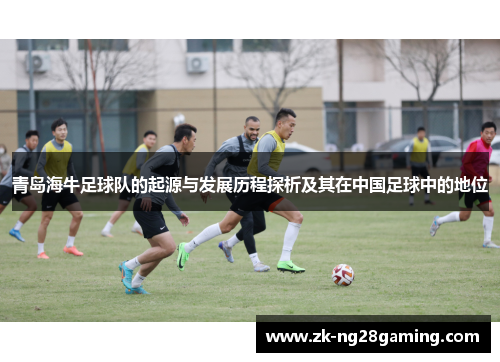 青岛海牛足球队的起源与发展历程探析及其在中国足球中的地位